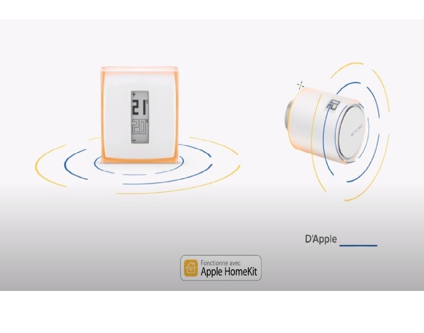 vidéo thermostat et vannes NETATMO