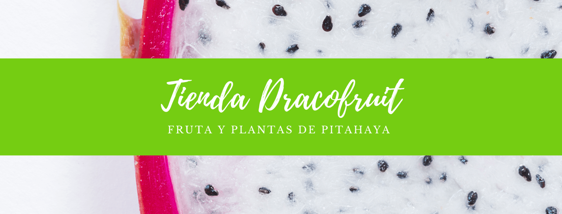 plantas de pitaya