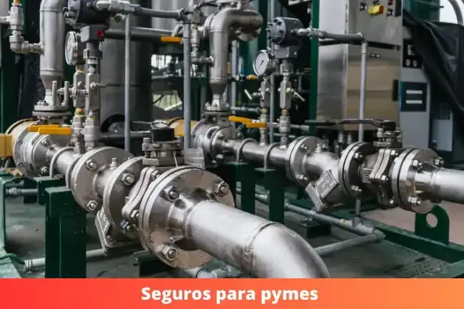 Seguro para pyme Seguro para pyme
