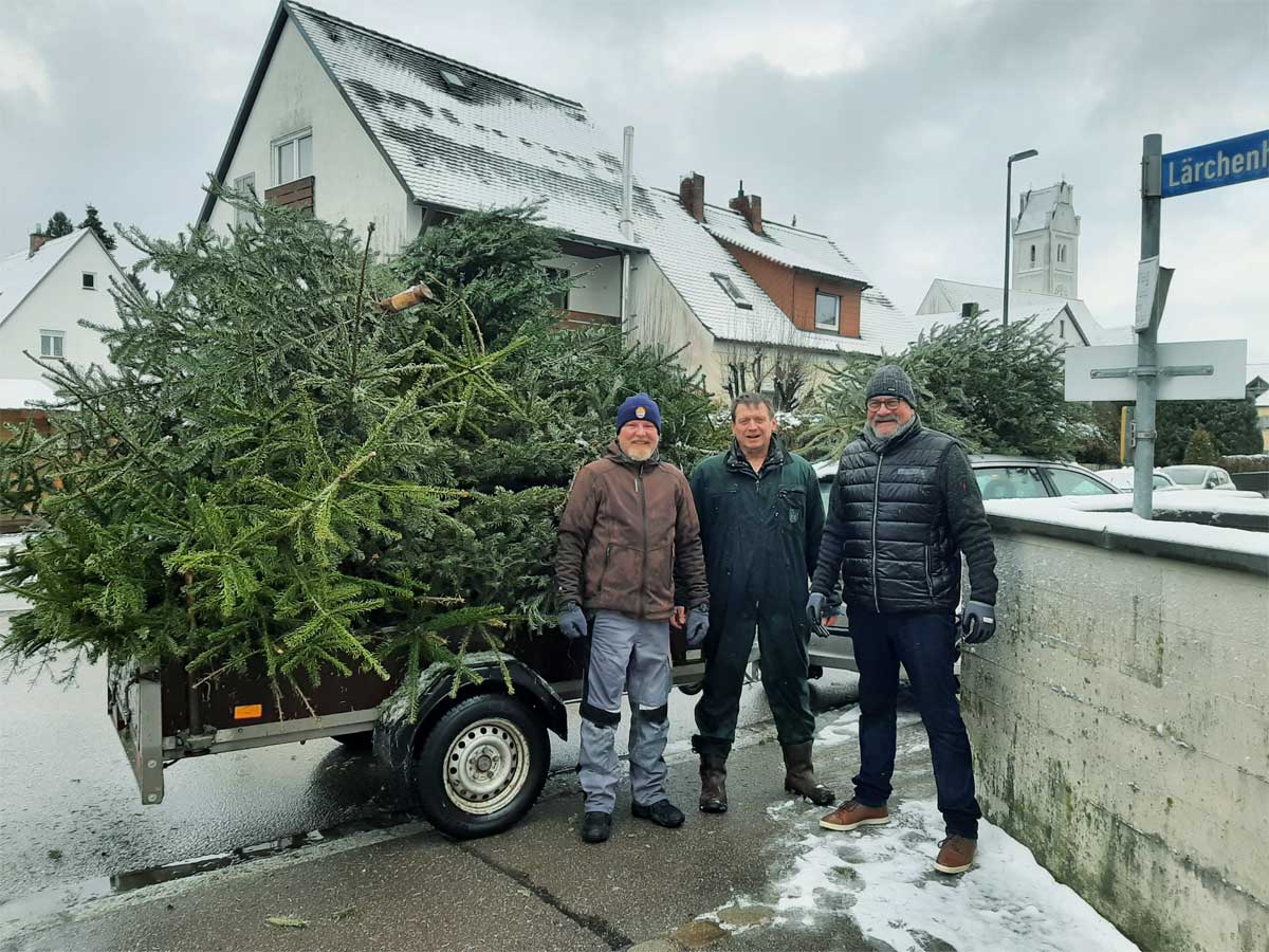 CSU Christbäume sammeln