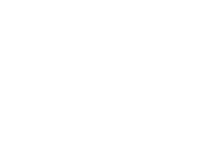 Silhouette Enten