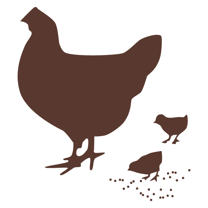 Huhn mit Kücken