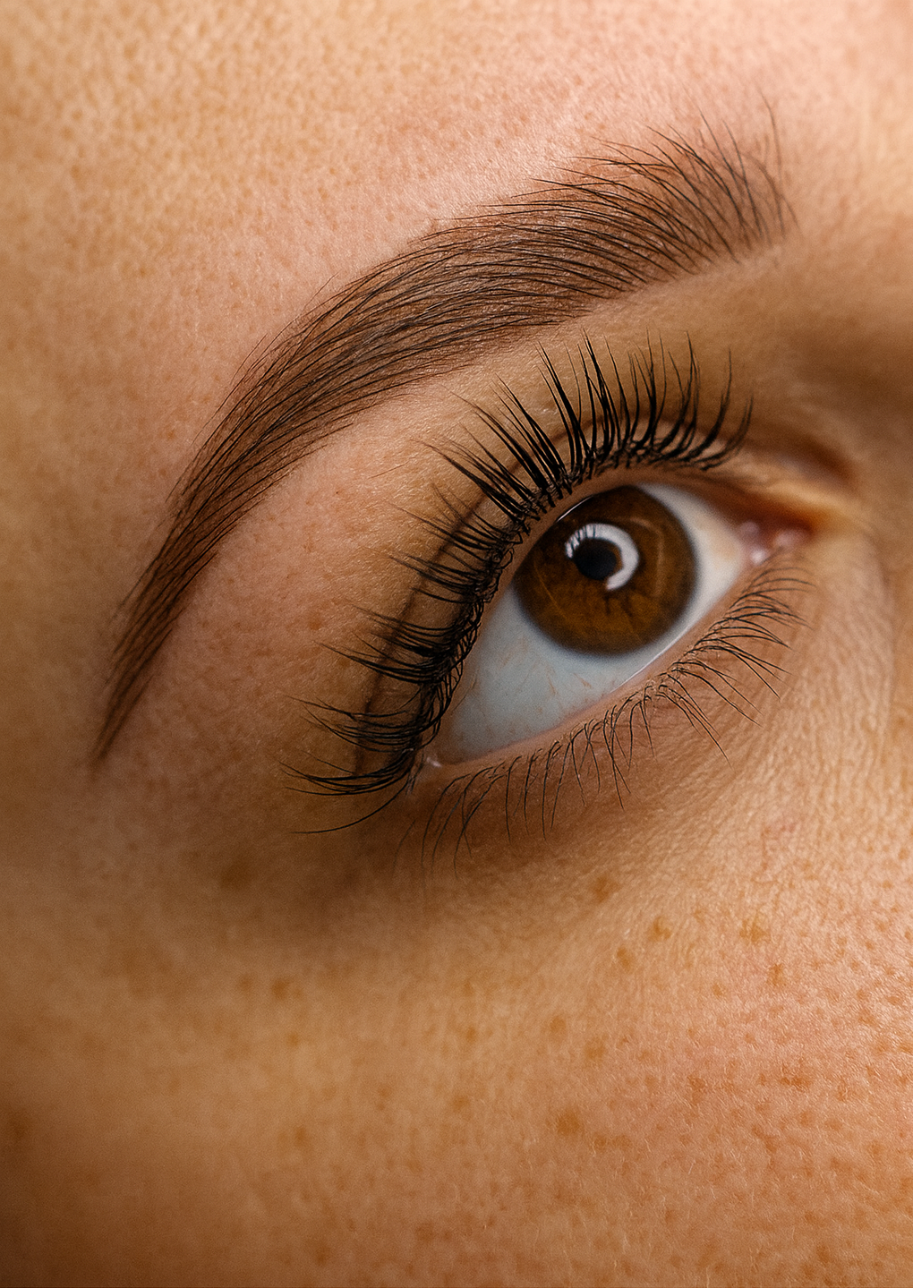 Augenbrauen Permanent Make Up Powder Brows Berlin Brandenburg Frohnau Glienicke Hermsdorf Tegel Reinickendorf Oranienburg Wandlitz Hohen Neuendorf