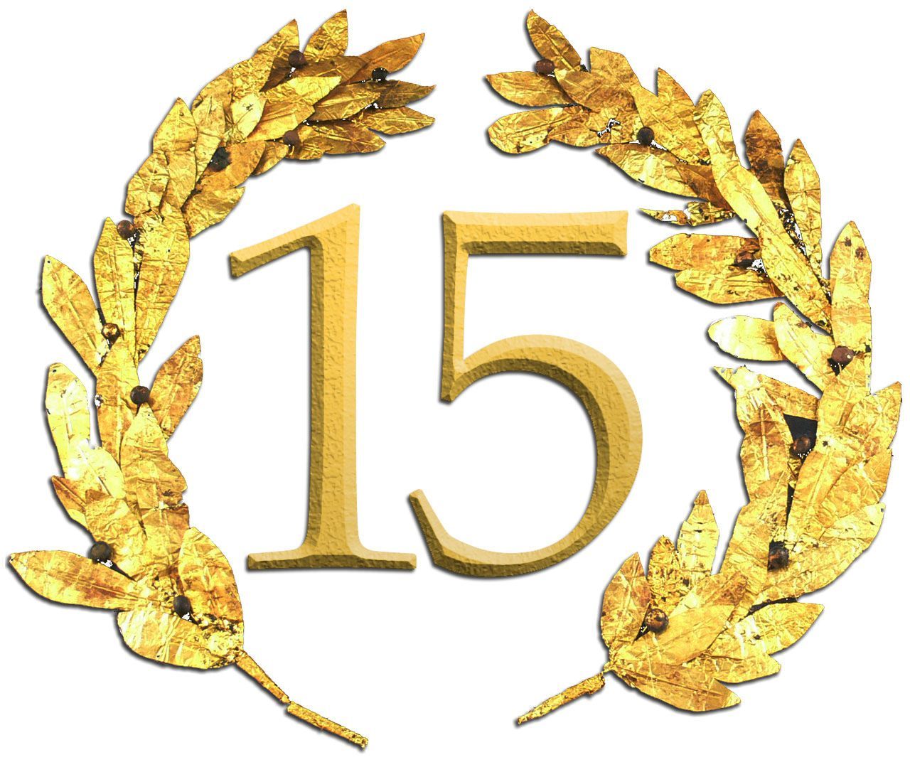 Jubliläum Privatnachhilfe Peter Mayr