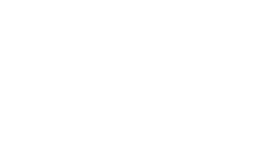 BFV Projects
