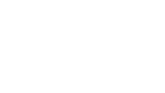 BFV Projects BFV Projects