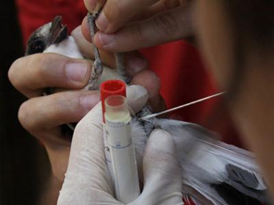 SALA DE CUARENTENA EN BIOCONTENCIÓN DEL ZOO DE BARCELONA