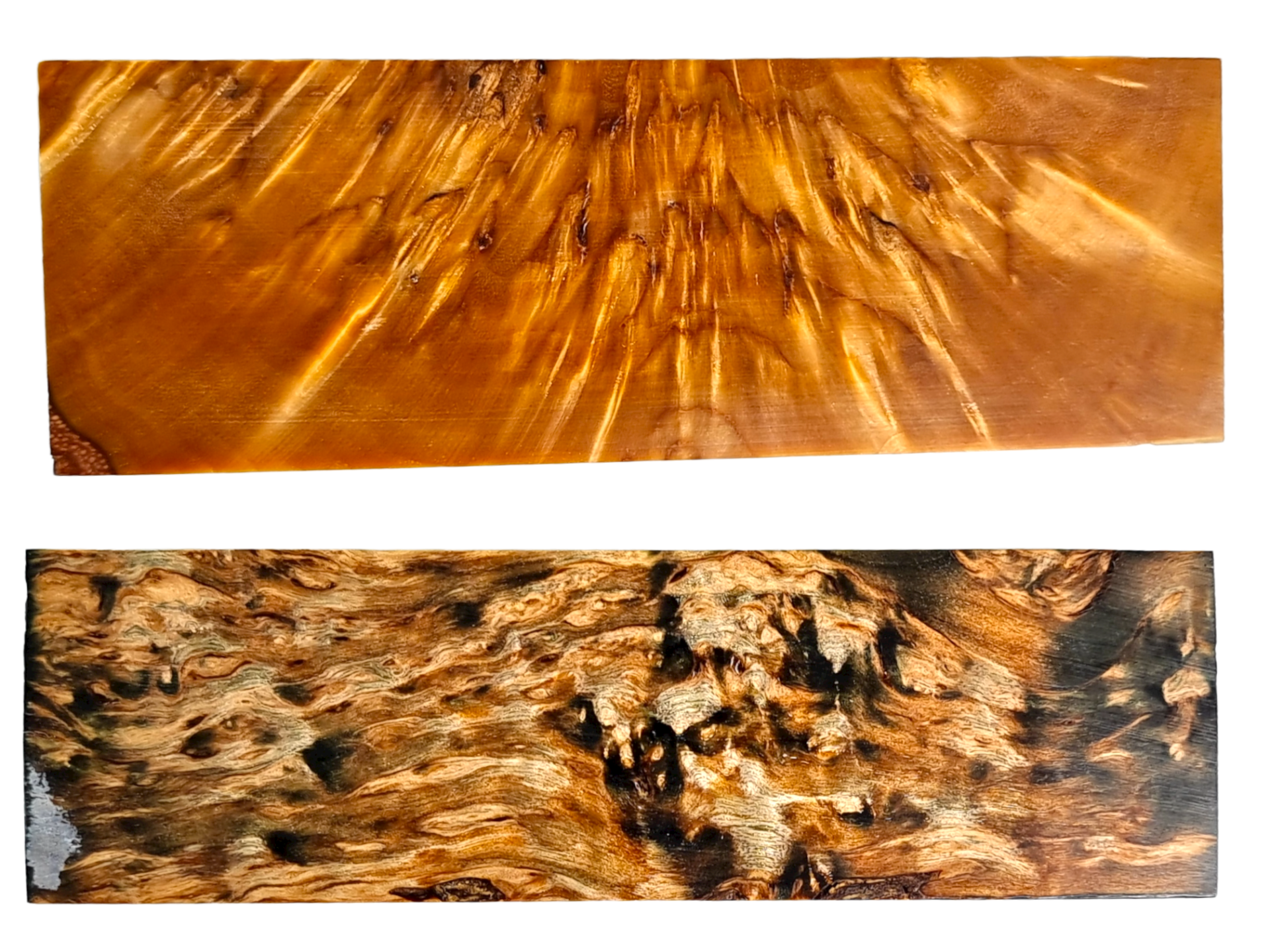 photo non contractuelle BOULEAU STABILISÉ - coutellerie le Fidèle