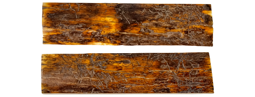Photo non contractuelle IVOIRE - CROUTE DE MAMMOUTH - Coutellerie Le Fidèle