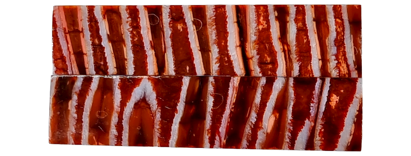 Photo non contractuelle MOLAIRE DE MAMMOUTH - Coutellerie Le Fidèle