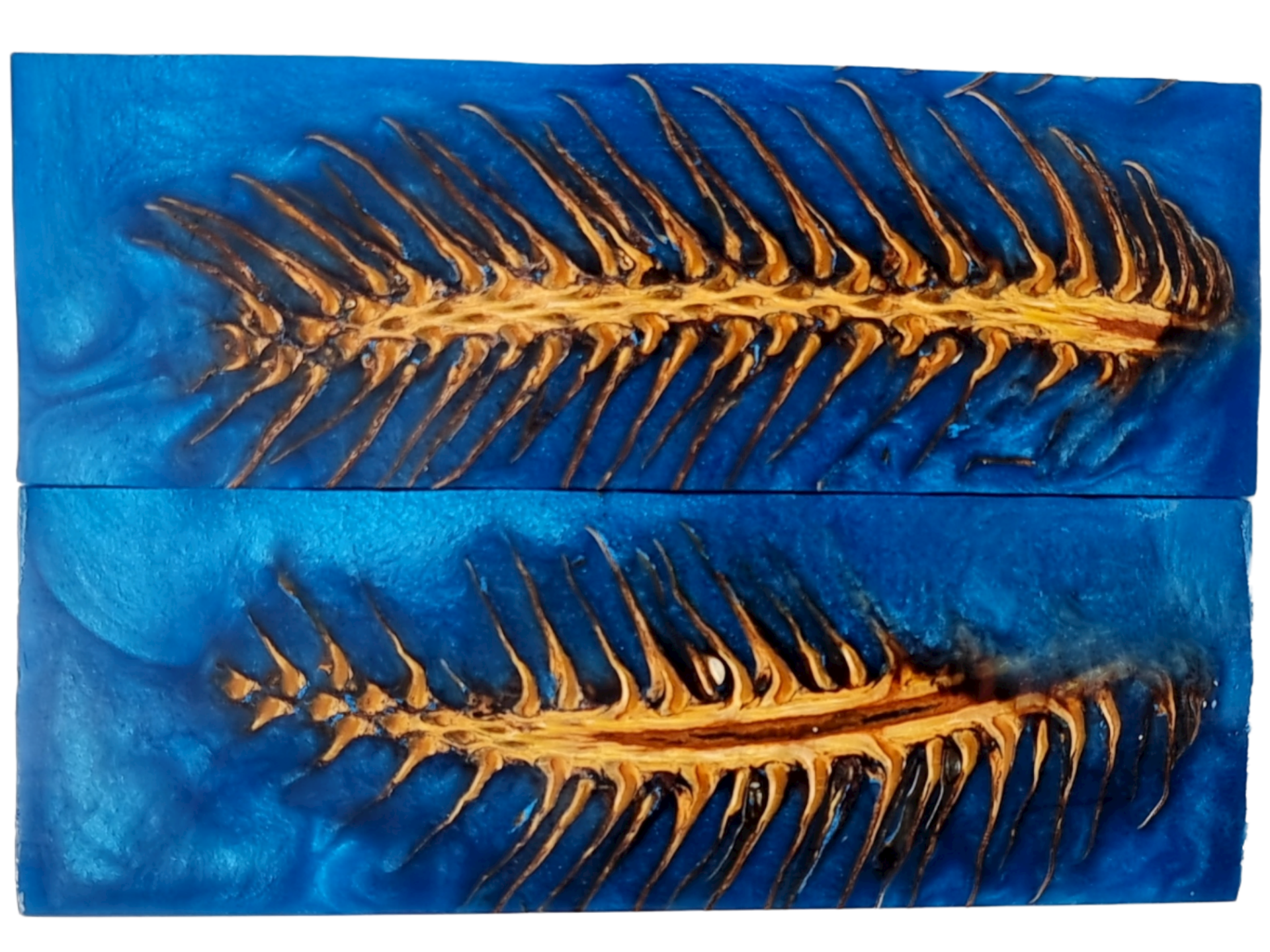 PHOTO NON CONTRACTUELLE PIGNE DE PIN - COUTELLERIE LE FIDELE