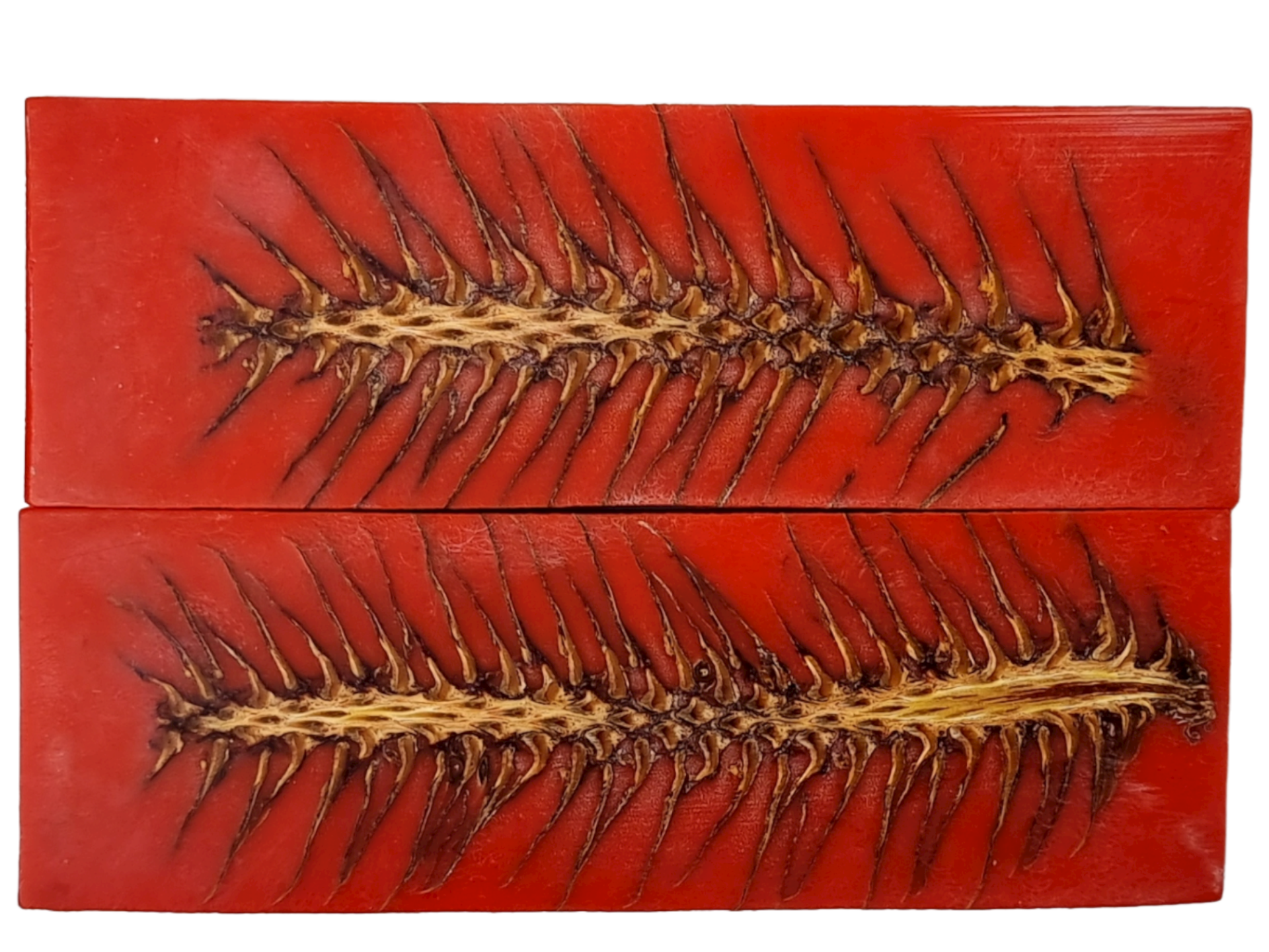 PHOTO NON CONTRACTUELLE PIGNE DE PIN - COUTELLERIE LE FIDELE