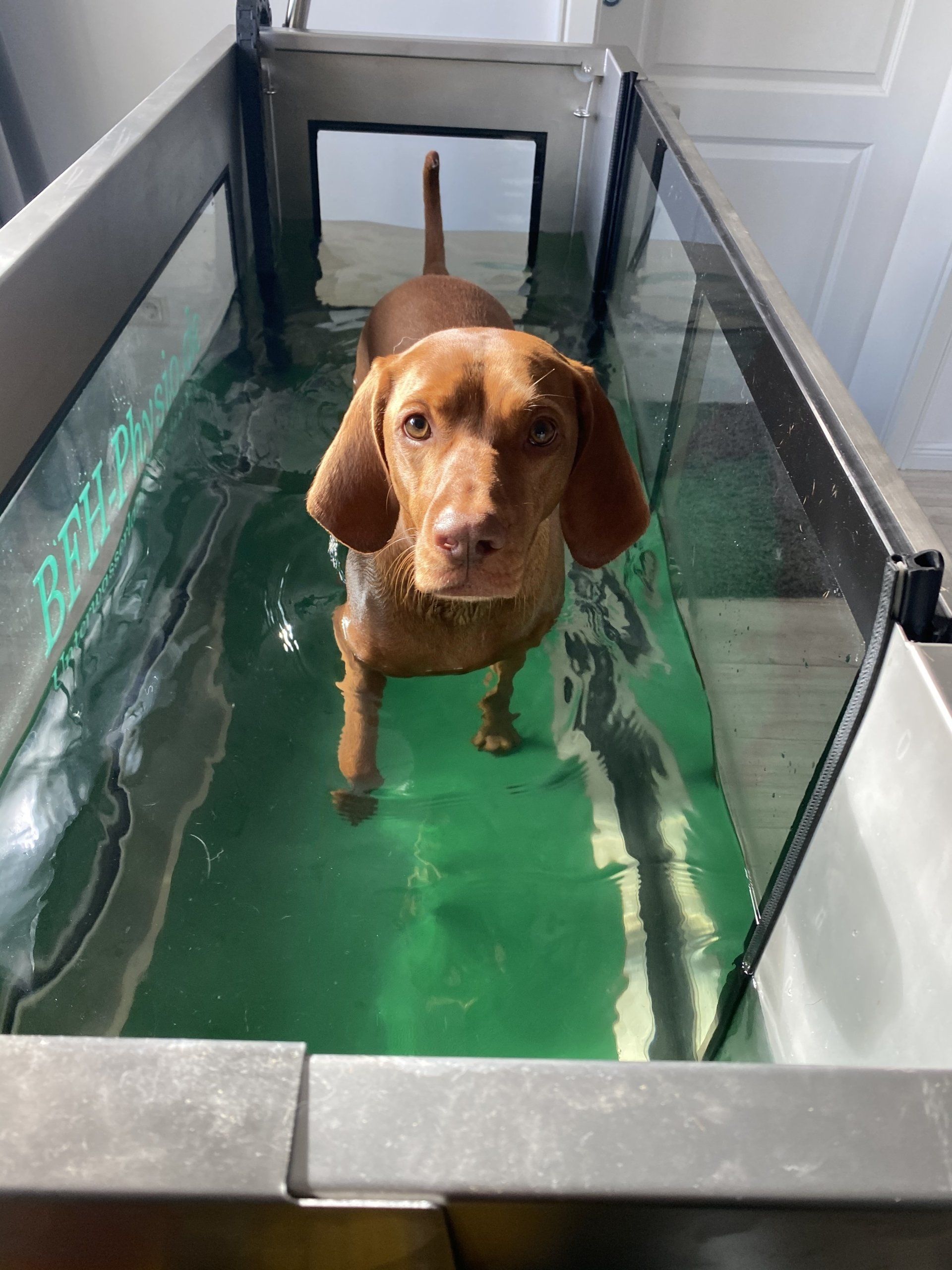 Unterwasserlaufband Mölln