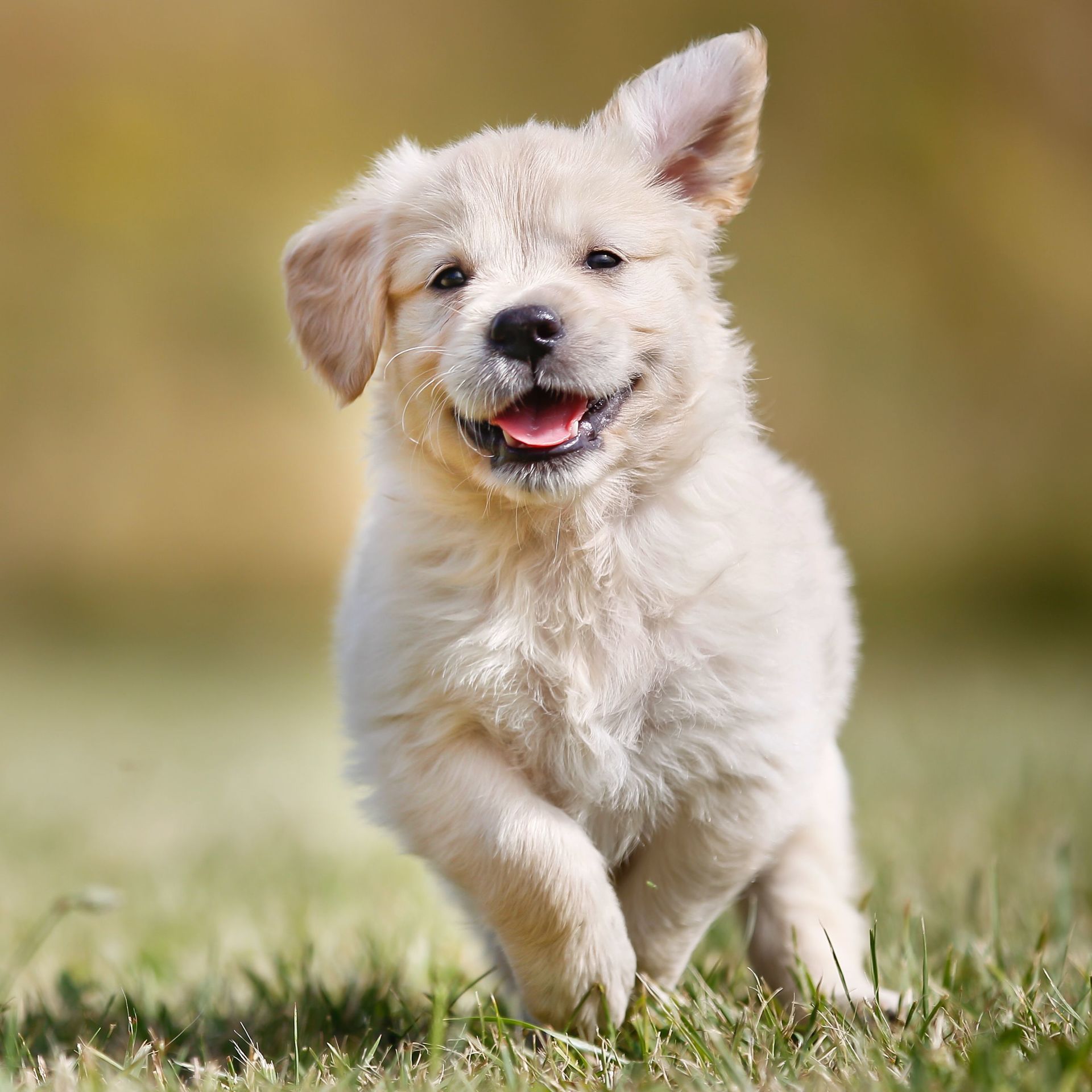 Im Anamnesetermin wird der Ist-Zustand des Patienten aufgenommen Unterwasserlaufband Itzehoe