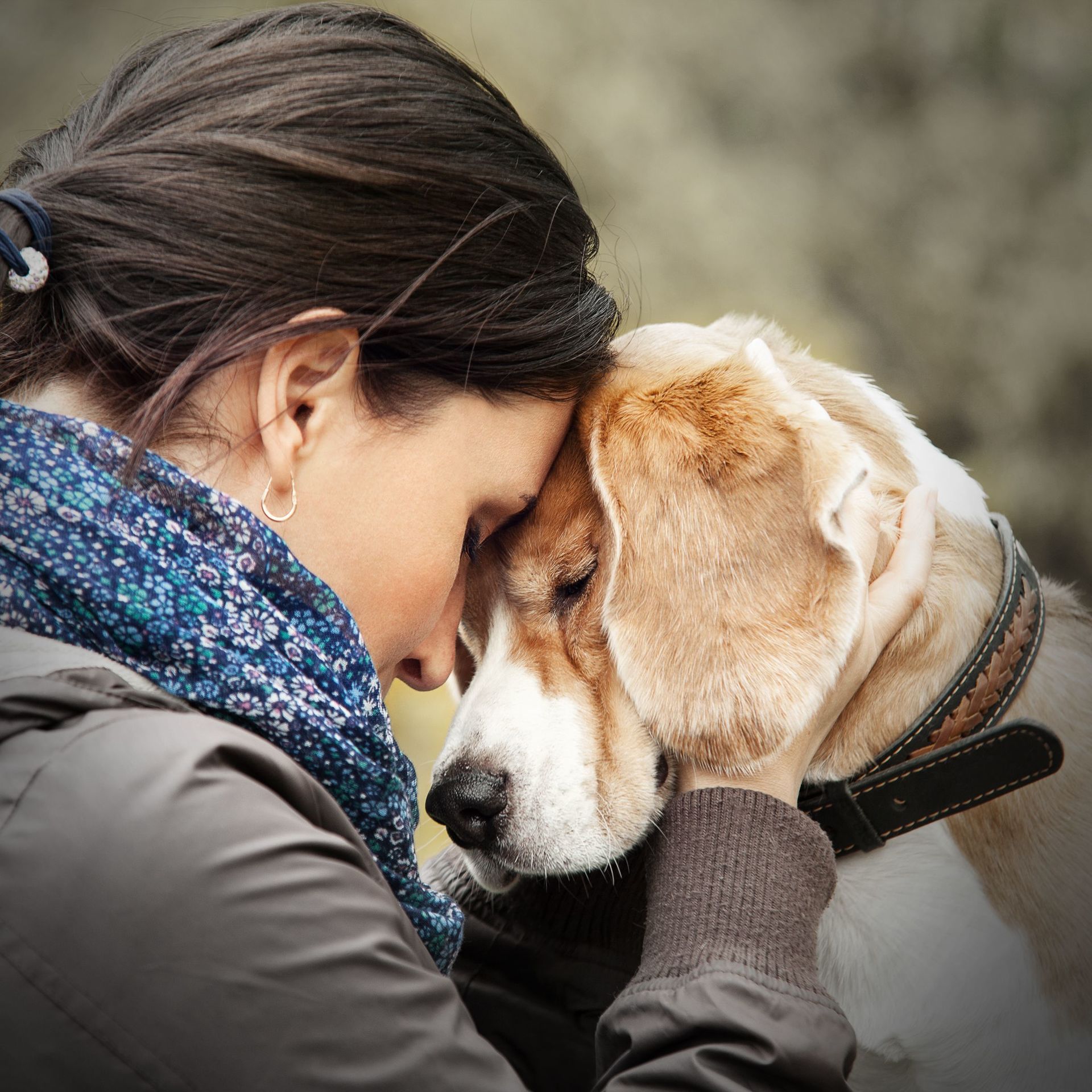 Diese äußerst schmerzhafte Erkrankung lässt sich gut mit Physiotherapie behandeln Das Cauda equina Syndrom beim Hund