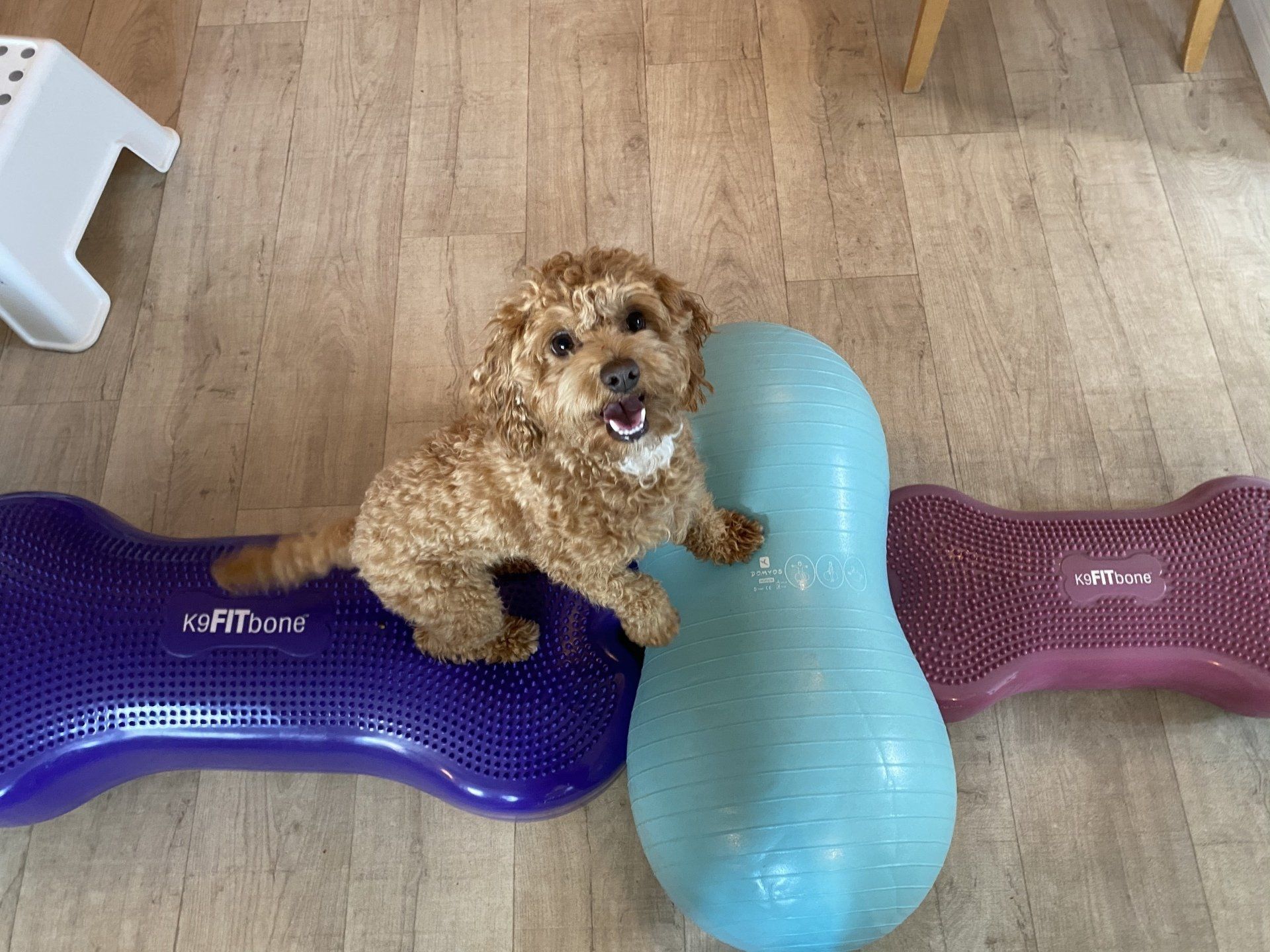 Unterwasserlaufband Mölln