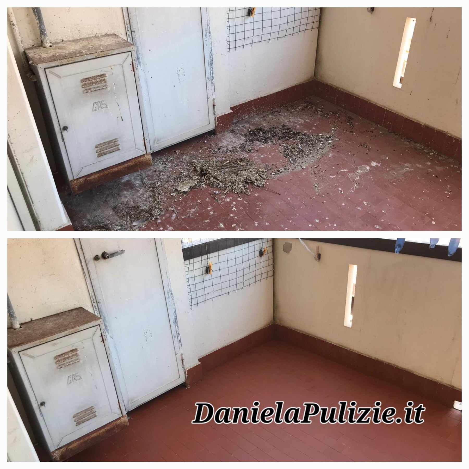 pulizie guano piccioni edifici