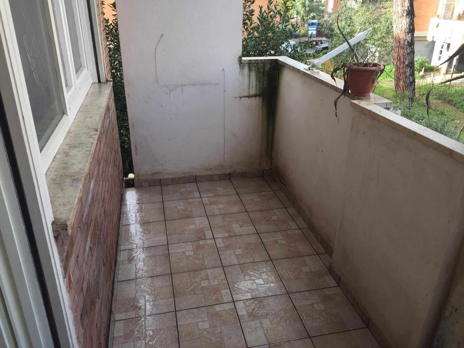 rimozione guano piccioni