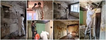 bonifica post incendio roma