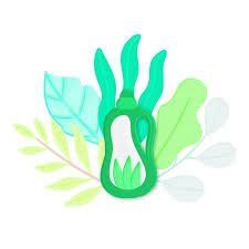 igienizzazione appartamenti Roma