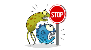 sanificazione all ozono roma sanificazione all ozono roma