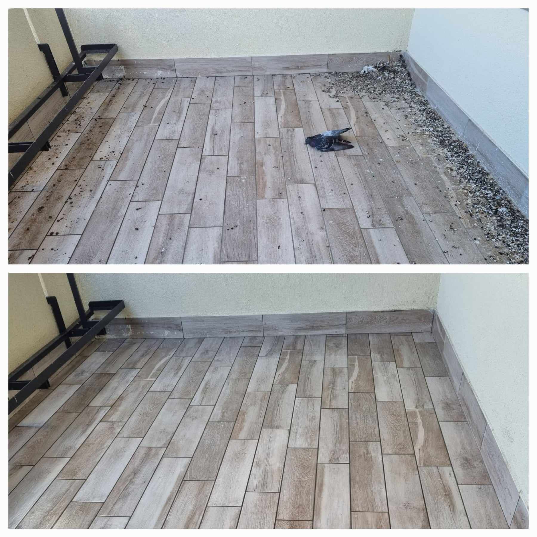 pulizie guano piccioni pavimenti esterni