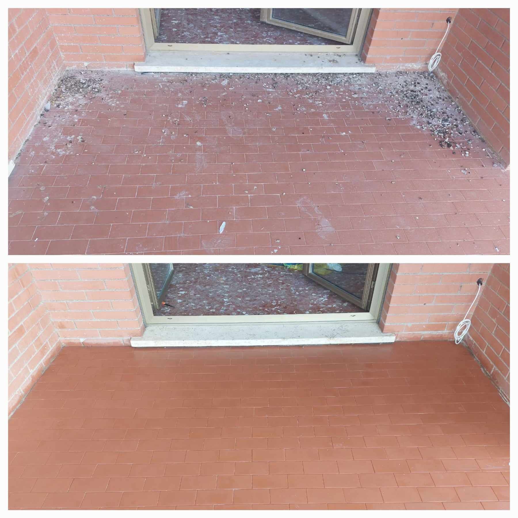 pulizia guano piccioni roma centro