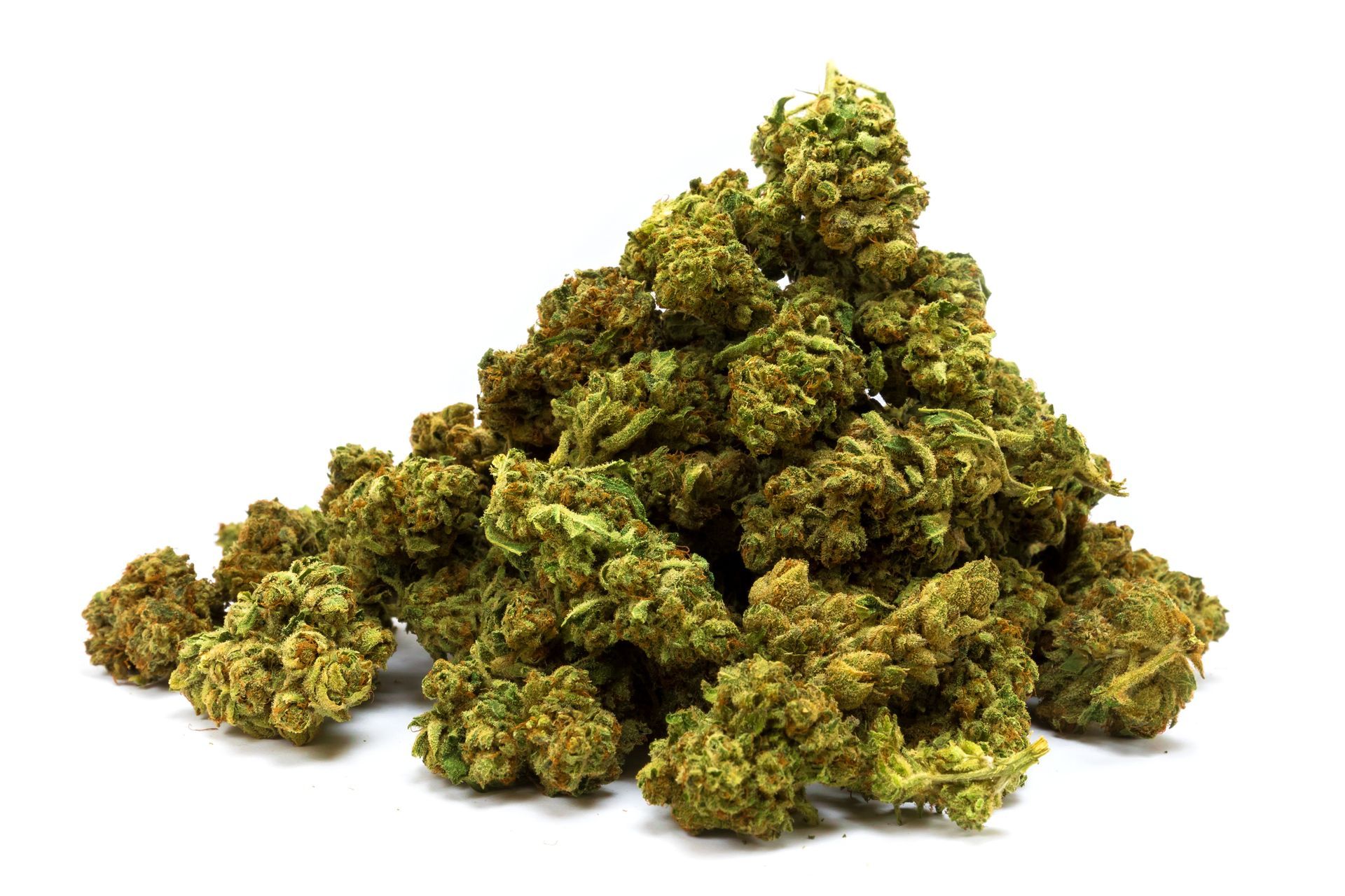 CBD Blüten werden von THC-armen Nutzhanf-Sorten der Art Cannabis sativa L. gewonnen.