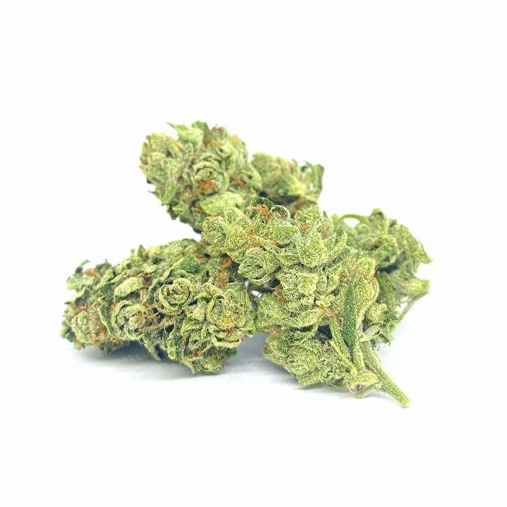 AmaCan Cannabis Protein Pulver. Hanf Protein Pulver. Vegane Eiweiß- und Vitalstoffquelle. Ideal für gesundheitsbewusste Menschen jeden Alters, besonders aber für Sportler und Senioren.