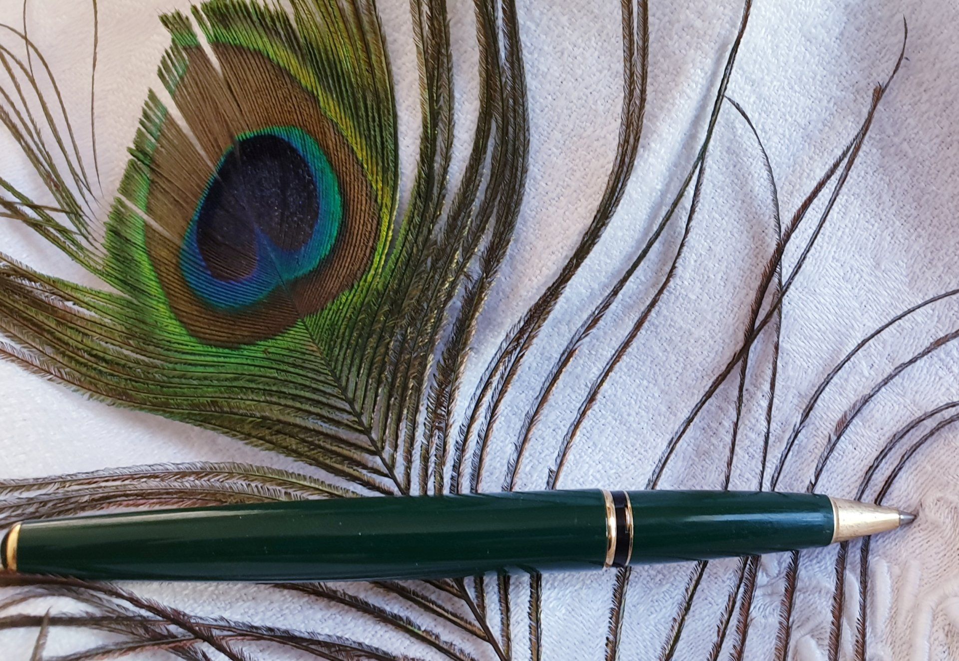 Graphothérapie Stylo Plume