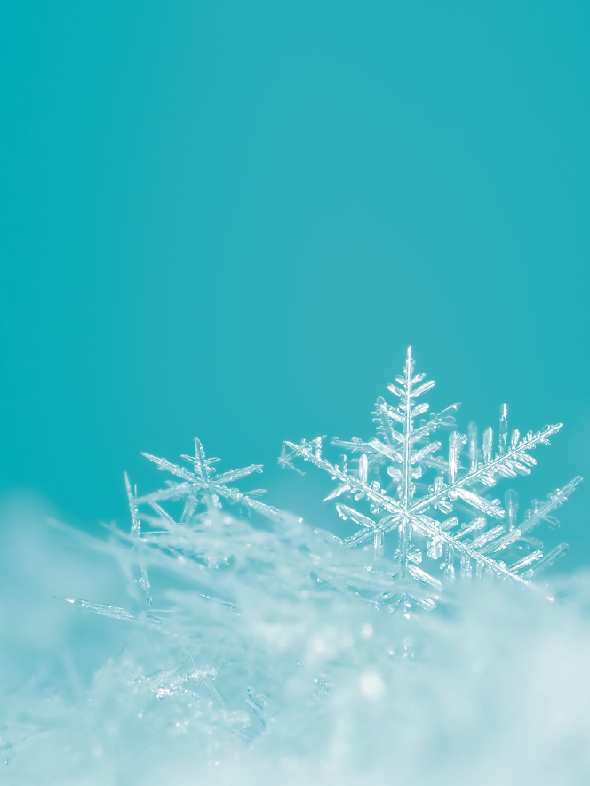 Télécharger le catalogue vanne haute temperature