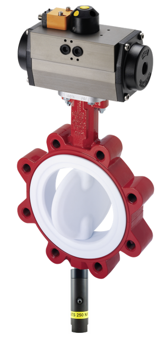 Vanne papillon en PTFE