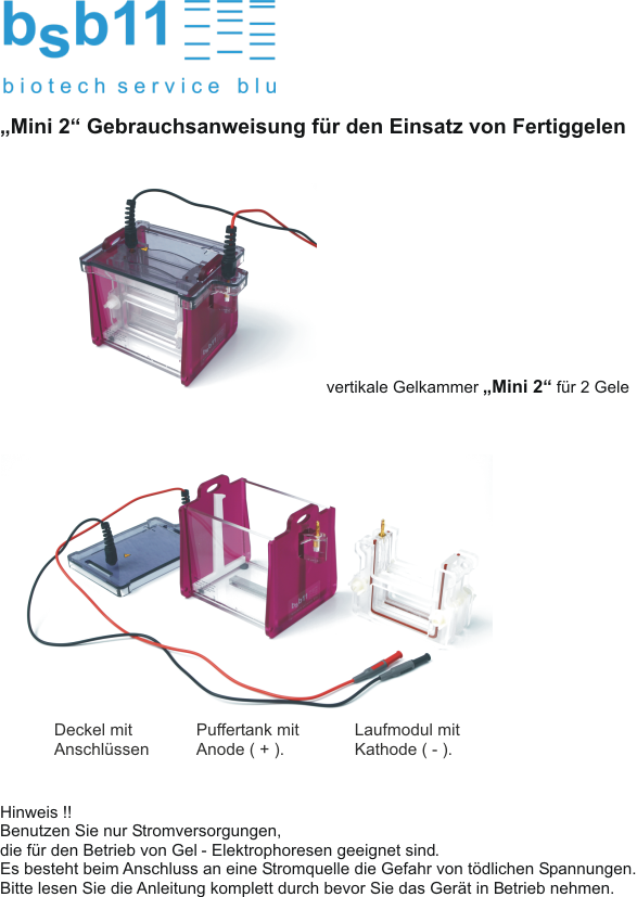 SDS page vertikale Gel Elektrophorese