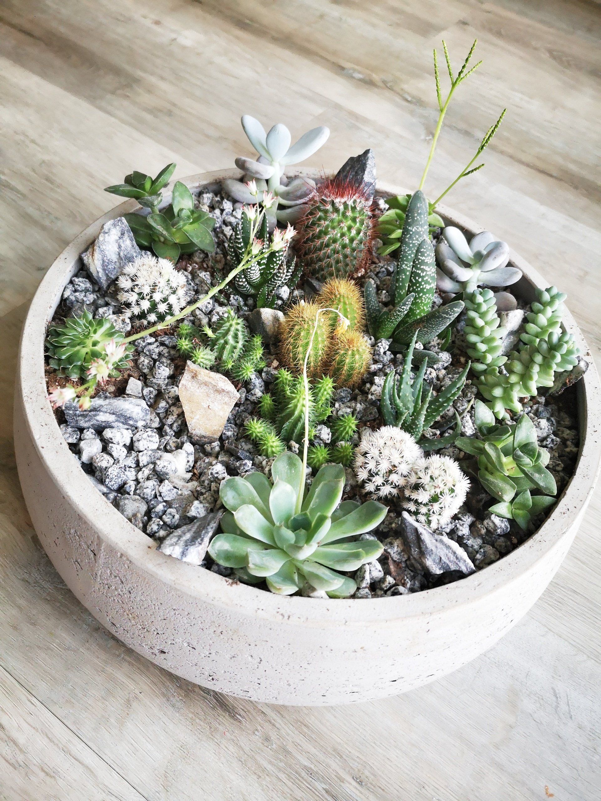 Projet personnalisé