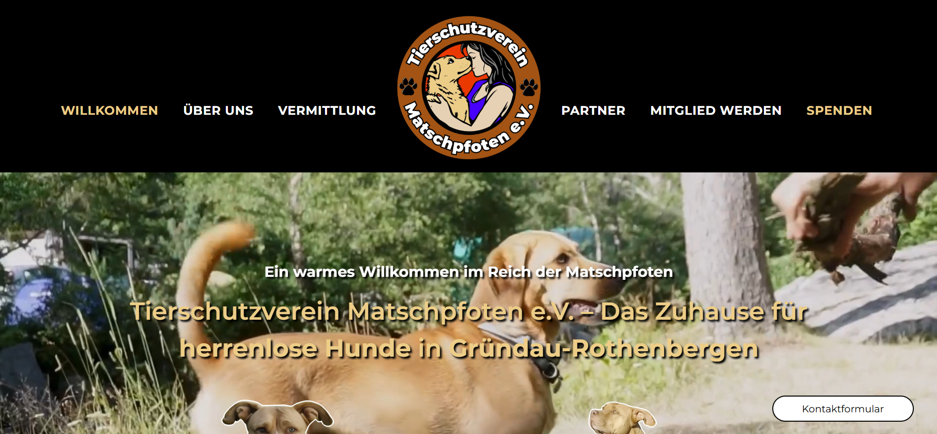 Matschpfoten e.V. Tierschutzverein