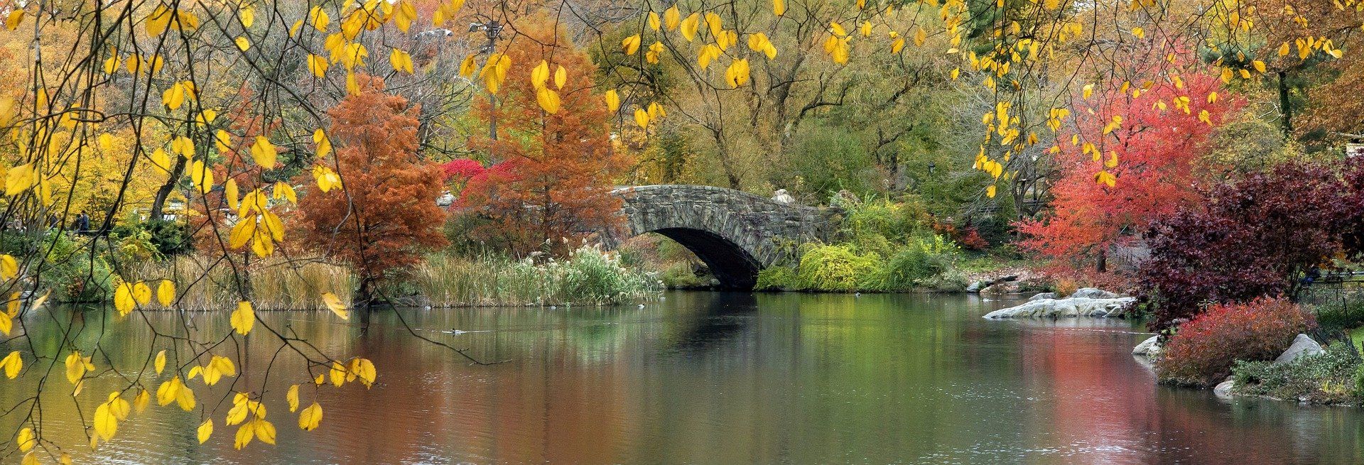 Brücke der Veränderung Brücke der Veränderung