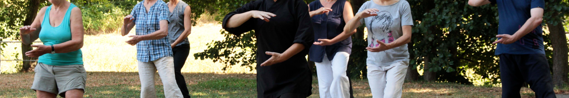Gruppe Tai Chi Übender Gruppe Tai Chi Übender