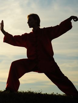 Tai Chi