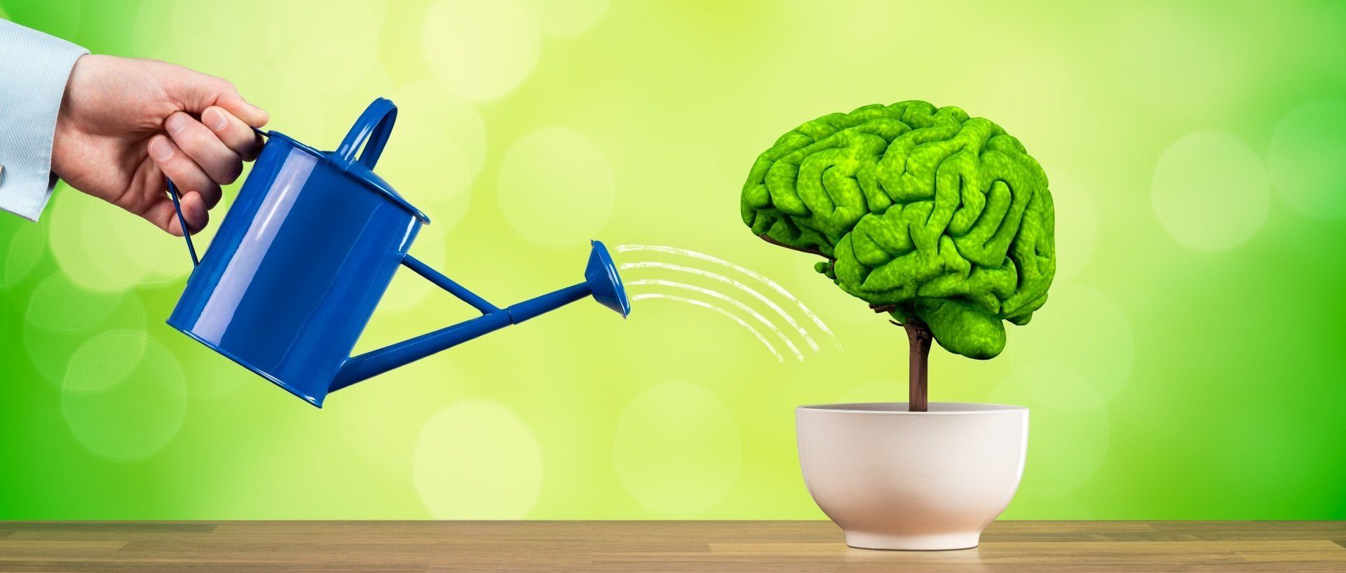 Wachstum des Gehirns anregen Wachstum des Gehirns anregen