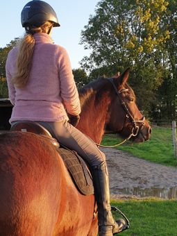 Reiten