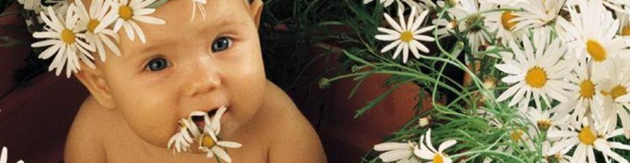 bébé avec marguerites