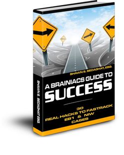EB-1 & NIW Tips Book Cover EB-1 & NIW A Brainiac Guide to Success Book Cover