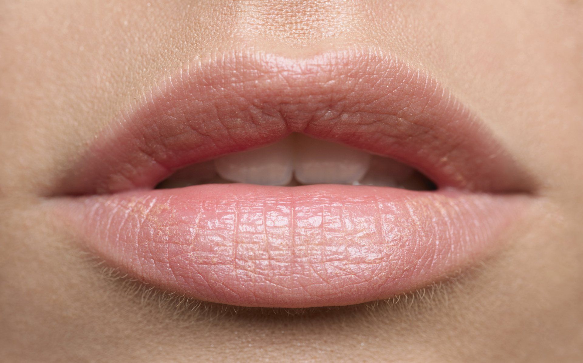 Permanent makeup lip blush