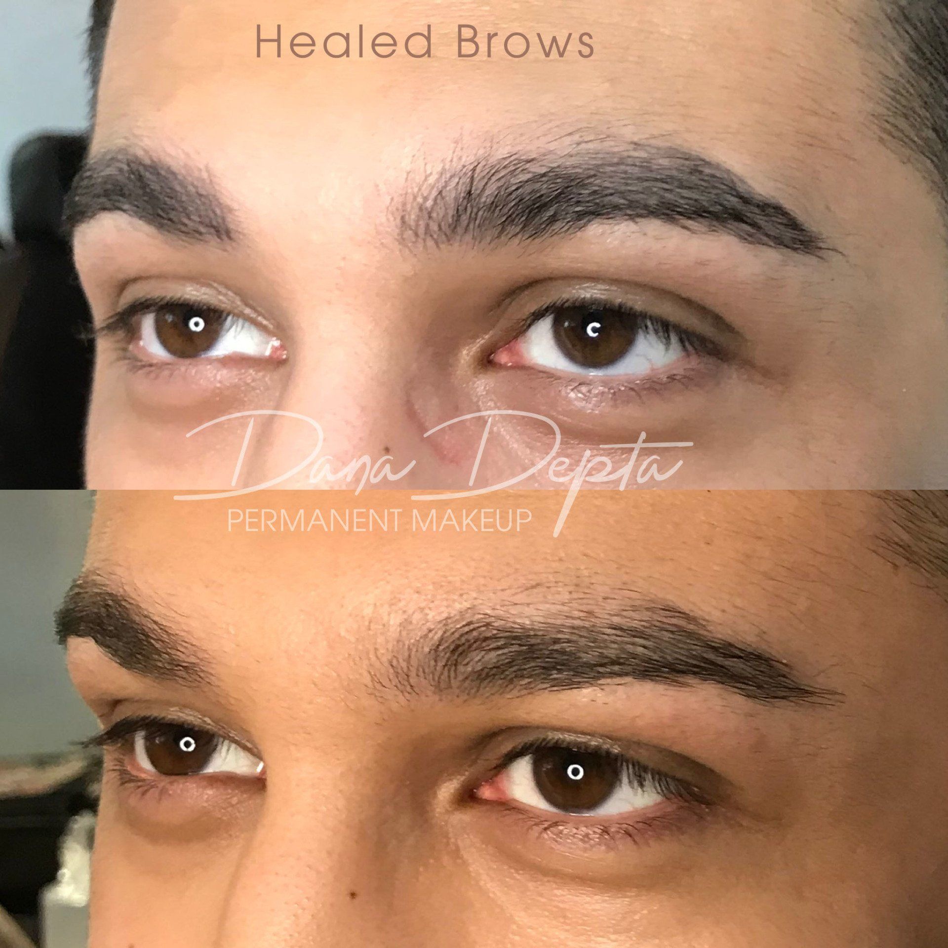 Male brows before and after permanent makeup