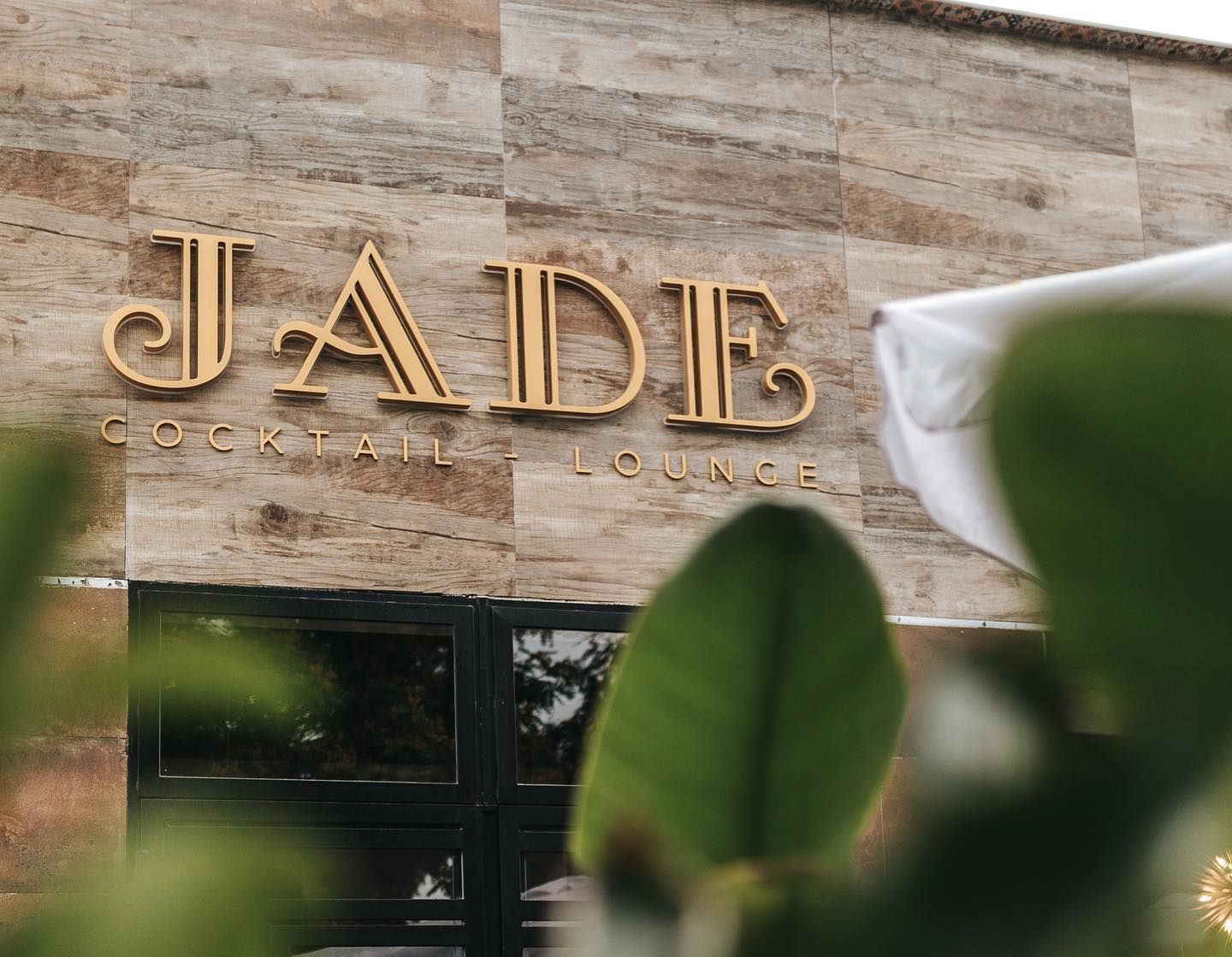 proyecto JADE LLOPIS