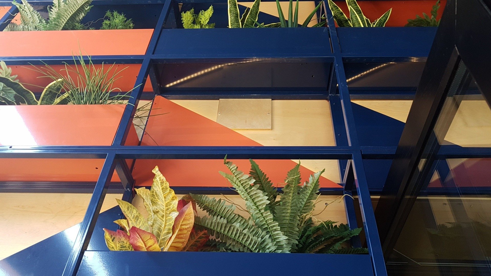 PROYECTO PUB PELE SAN JUAN