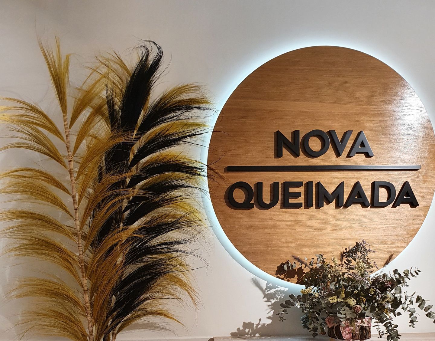 PROYECTO LLOPIS nova queimada