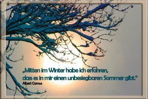Was ist Psychotherapie? Baum mit Sonne im Hintergrund
