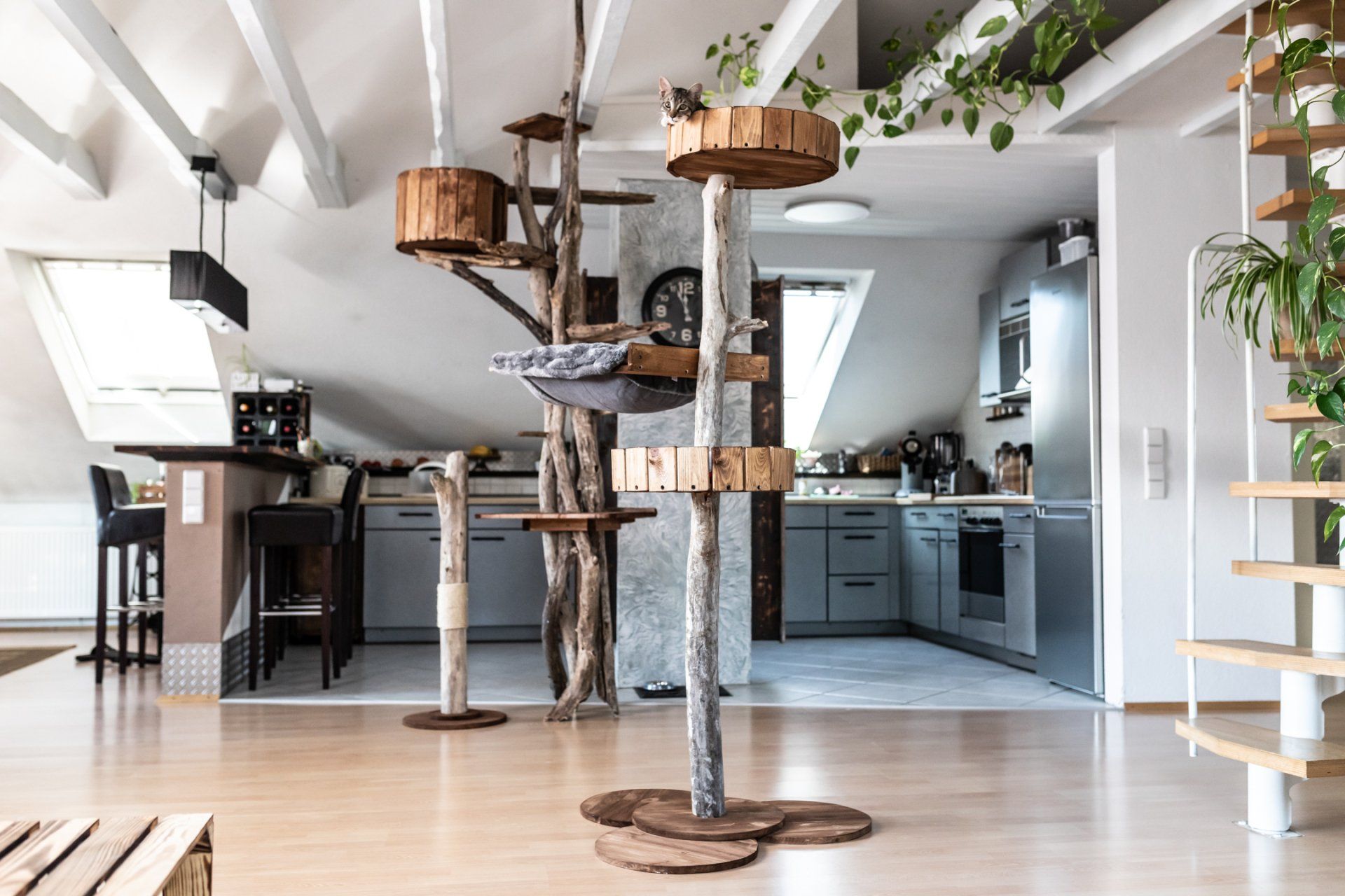 Katzen Kratzbaum Holz - Designer Katzenbaum aus Echtholz Katzen Kratzbaum Holz - Designer Katzenbaum aus Echtholz - TomCat