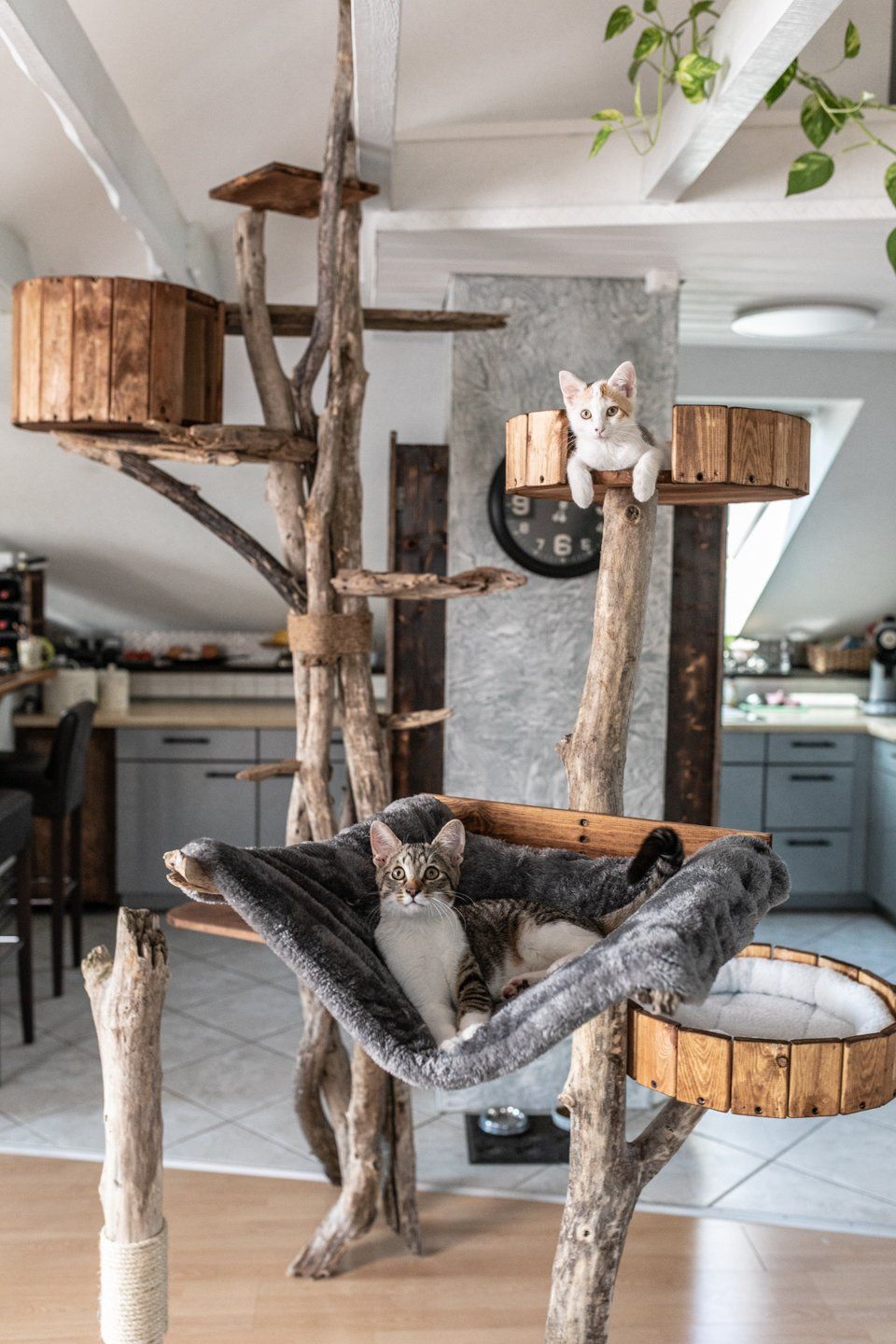 Kratzbaum-HighTower-XXL-TomCat-Naturholz-Nachhaltig